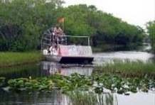 Everglades and Miami Adventure